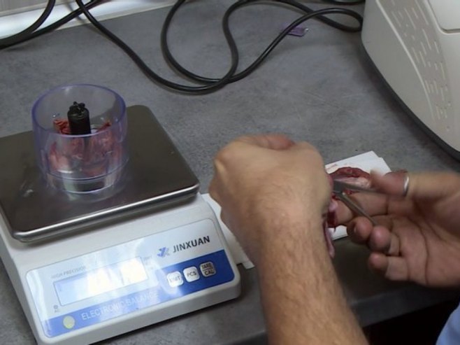 Vaterinari upozoravaju - važna kontrola mesa na prisustvo trihinele