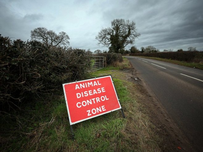 U SAD potvrđen prvi slučaj zaraze čovjeka sojem H5N5 ptičijeg gripa