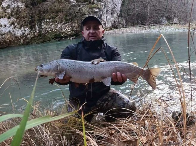 Oboren rekord u Foči:  Ulovljeno 17 mladica, najveća preko metar