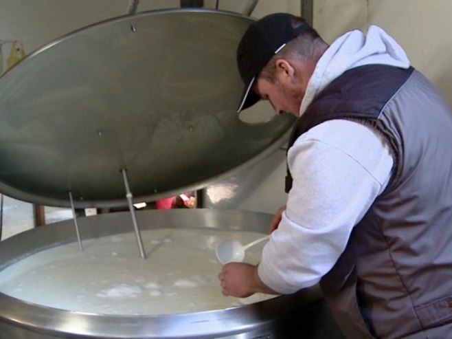 Proizvodnja mlijeka sve izazovnija: Proizvođači se bore da preduprijede pojavu aflatoksina u mlijeku (VIDEO)