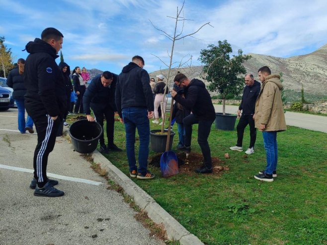 Građanska odgovornost GKUD "Alat" iz Trebinja - zasađeni novi zasadi kod Hercegovačke Gračanice (FOTO)