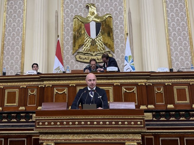 Milan Petković u Kairu Milan Petković u Kairu - Foto: SRNA