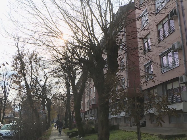 Rosulje - Foto: RTRS