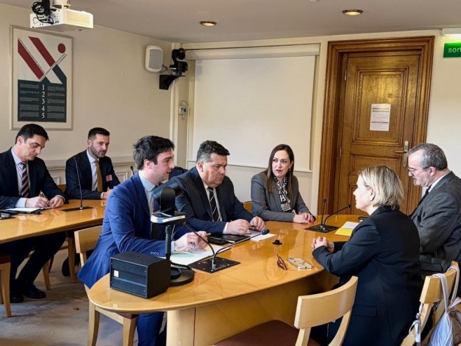 Stevandić u francuskom Senatu: Zalažemo se za ravnopravnost, a ne da nam neko drugi određuje šta su naša  prava (VIDEO)