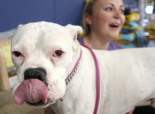 Pas Ozi iz Oklahome oborio Ginisov rekord za najduži jezik