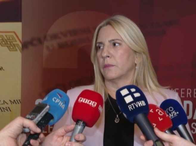 Cvijanović: BiH može naprijed uz lokalna rješenja, a ne nametanja (VIDEO)