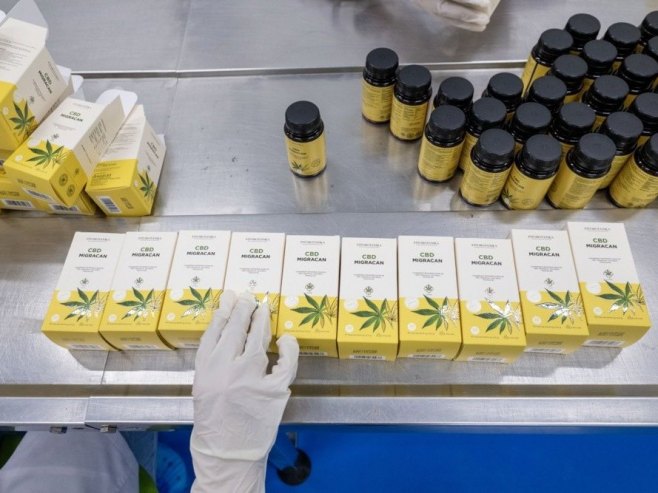 Savjet ministara legalizovao kanabis za korišćenje u medicinske svrhe