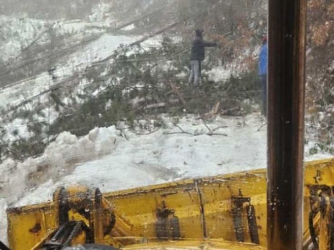 Foča: Snijeg obarao stabla po putevima, zimske službe na terenu (FOTO)