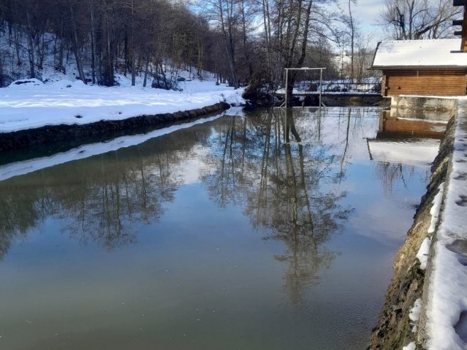 Branešci - Foto: Ustupljena fotografija