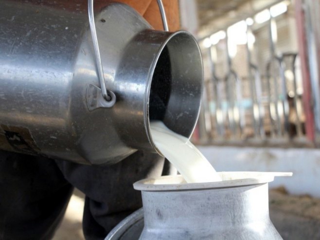 Uvoz mlijeka i jeftinijih nekvalitetnih proizvoda urušava situaciju u mljekarstvu (VIDEO)