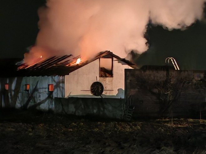 Farma svinja, Bijeljina - Foto: RTRS