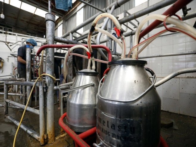 Mljekari prijete protestima; Kuzmić: Do rješenja se ne dolazi ucjenama