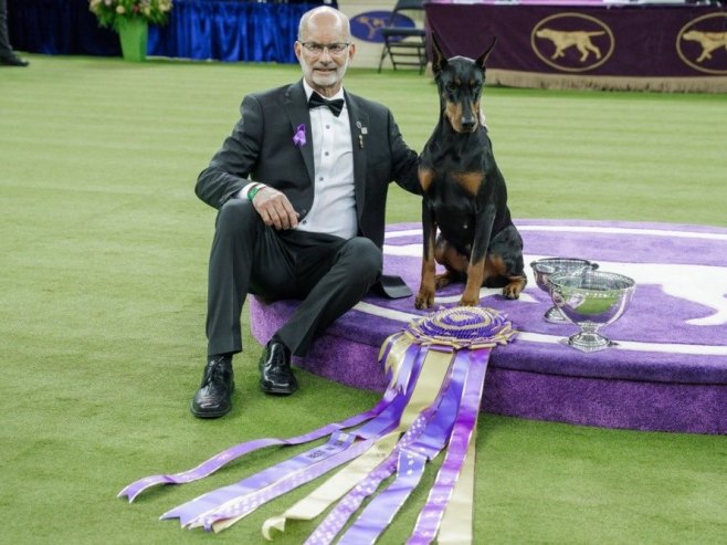 Doberman Peni osvojio nagradu za najboljeg psa na 150. izložbi pasa u Njujorku (VIDEO)