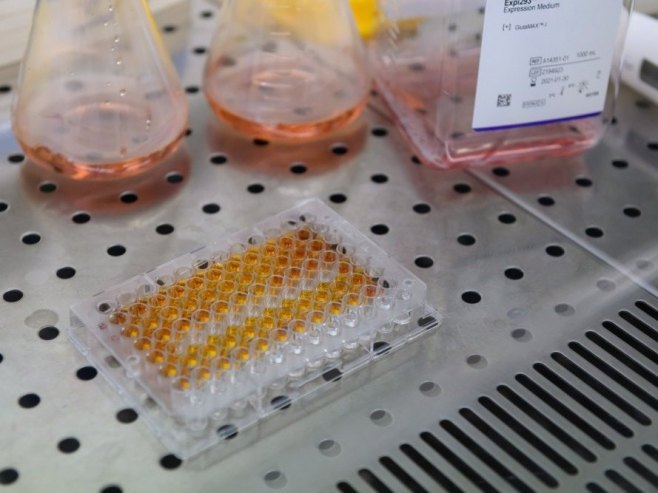 Rusija: Naučnici pronašli način da suzbiju rast ćelija raka