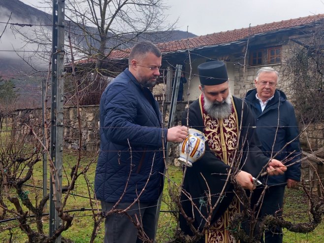 Sveti Trifun obilježen simboličnom rezidbom vinove loze na Ušću kod Trebinja