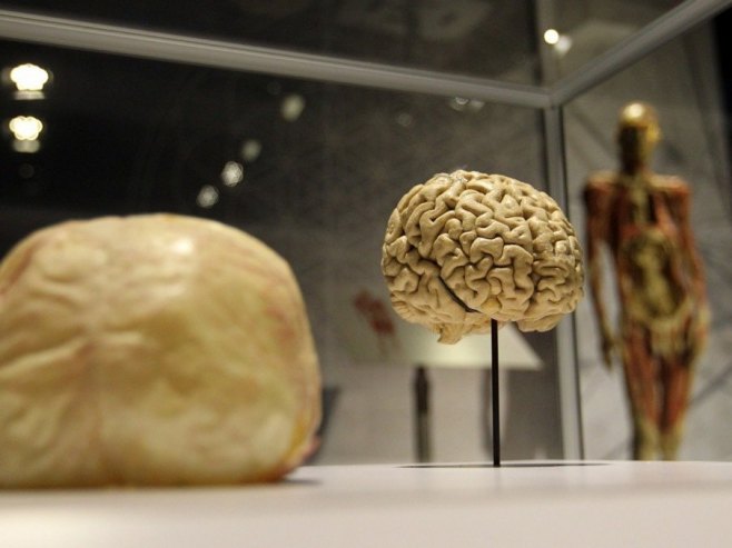 Mozak može da zadrži određeni stepen svijesti satima nakon smrti