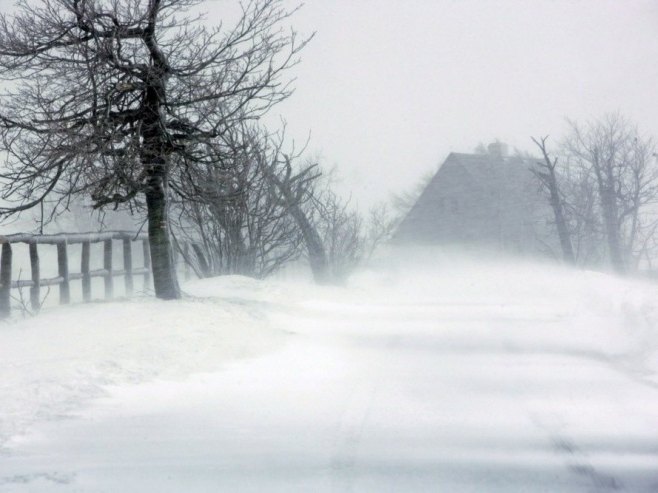 Mećava na Zlatiboru, drveće na putevima u zapadnom dijelu zemlje