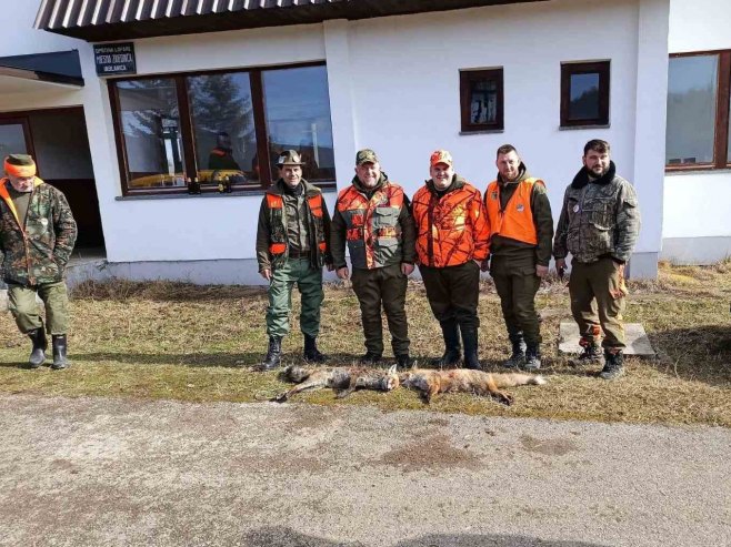 Odstrijeljene tri lisice