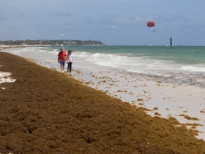 Zagrijavanje okeana za 0,1 stepen po deceniji smanjuje broj riba za 7,2 odsto