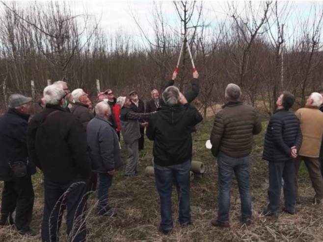 Doboj: Udruženje penzionera za članove organizovalo pčelarsko-voćarski kurs (VIDEO)
