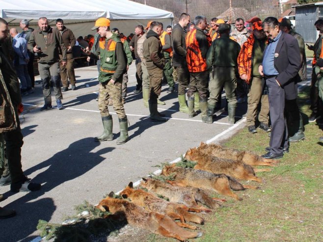 U lovu na predatore odstrijeljene četiri lisice i tri šakala