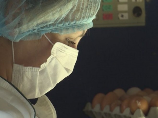 Ptičiji grip - Foto: RTRS