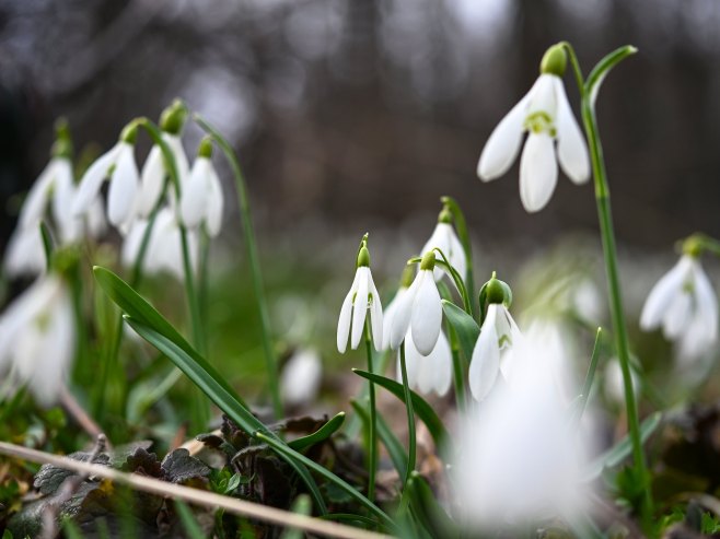 U srijedu toplo, temperatura do 19 stepeni