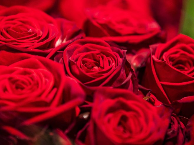 Kosmičko cvijeće za 8. mart (FOTO)