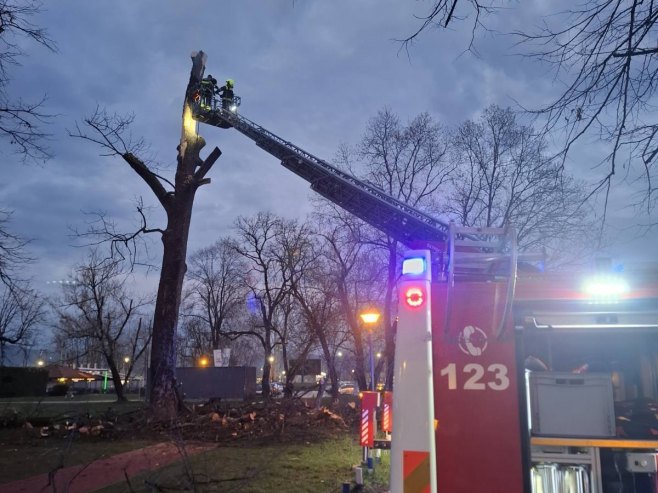 Grom udario u drvo u Parku "Mladen Stojanović", intervenisali vatrogasci (FOTO)