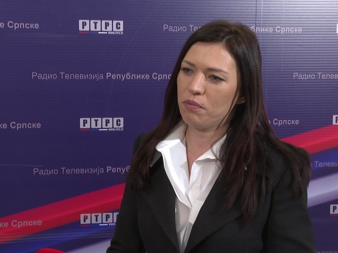 Vulić: Zvizdić irelevantan za Republiku Srpsku