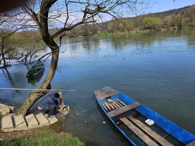 Una poribljena sa 56 kilograma šarana