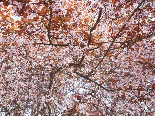 Promjenljivo oblačno uz sunčane periode