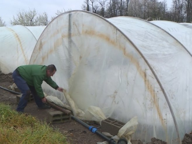 Višednevne padavine i niske temperature, zadale nevolje poljoprivrednicima