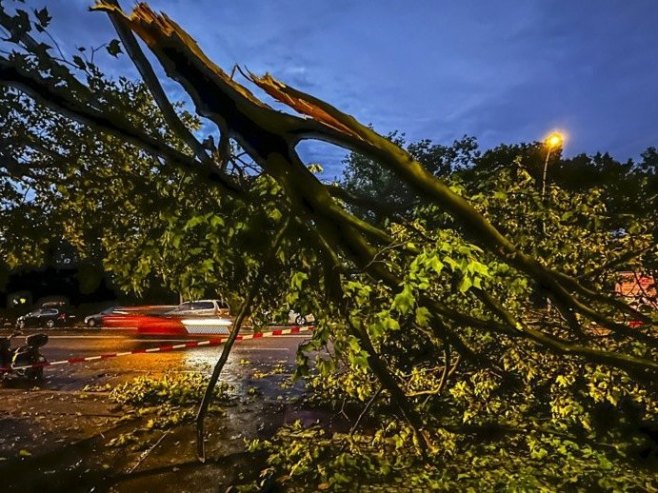 Njemačka: Poginule tri osobe kada je na njih palo drvo, među žrtvama dijete