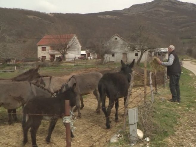 Farma magaraca - Foto: RTRS