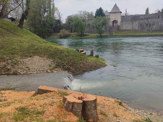 Građani Banjaluke ogorčeni zbog sječe stabala uz Vrbas; Traže odgovornost gradonačelnika (FOTO/VIDEO)