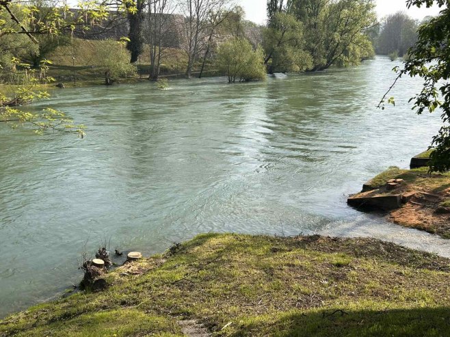 Sječa stabala uz Vrbas - Foto: RTRS
