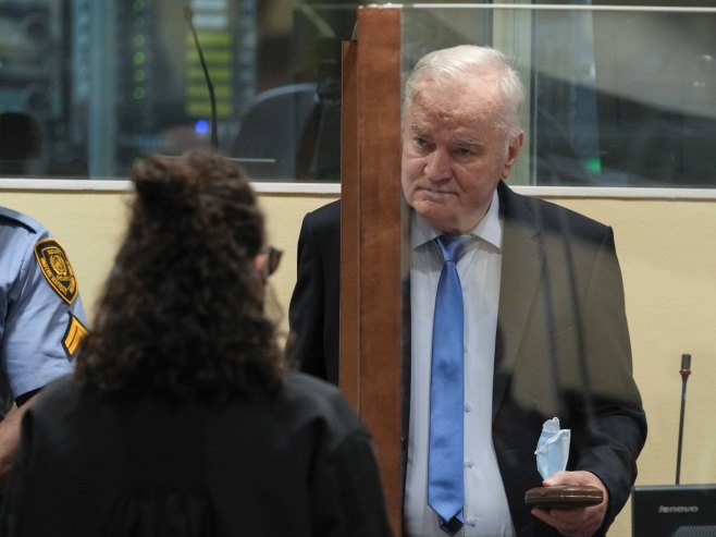 Selak razgovarao sa Vujićem o posjeti generalu Mladiću u Hagu