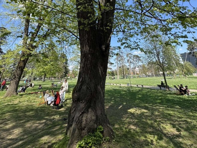Park Mladen Stojanović - Foto: Ustupljena fotografija