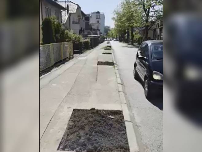 Uklonjen još jedan drvored: Posječena stabla u banjalučkom naselju Nova varoš (FOTO/VIDEO)