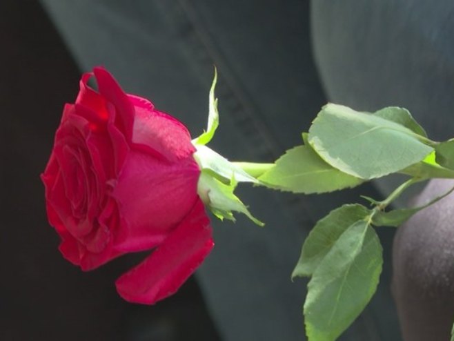 Obilježavanje u Višegradu i Vlasenici - odavanje počasti poginulim borcima