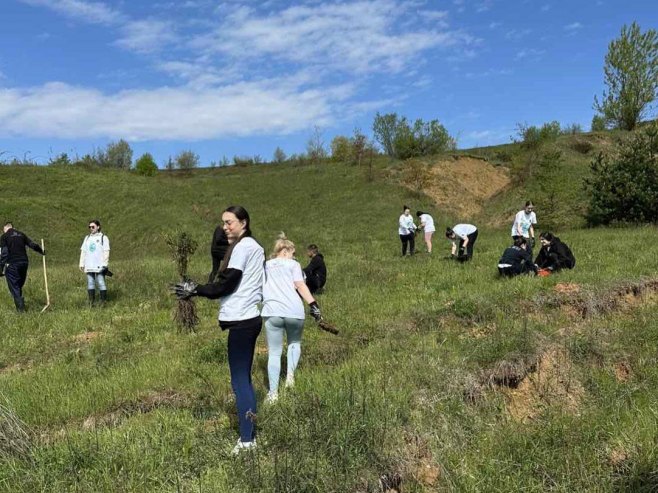 Zasađeno 500 stabala u akciji pošumljavanja