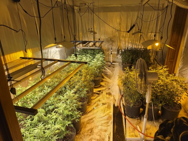 KS: Pronađeno pet laboratorija za uzgoj marihuane, uhapšena žena