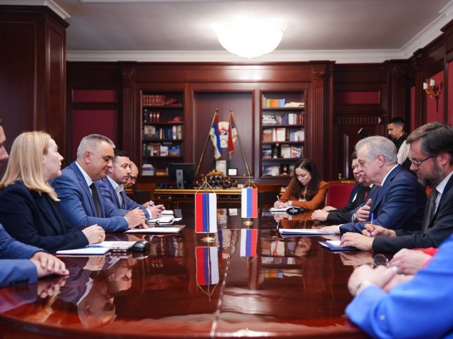 Minić-Dmitrijevič: Raditi na proširenju saradnje u svim oblastima