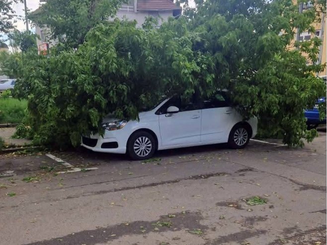 Banjaluka: Drvo palo na automobil