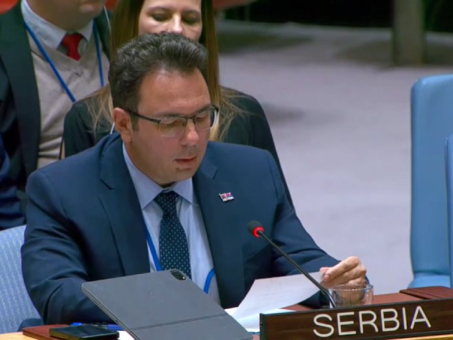 Ilić na sjednici SB UN: Međunarodna zajednica da podrži izabrane domaće političke aktere u BiH
