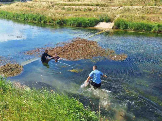 Spasavanje iz Trebišnjice - Foto: SRNA