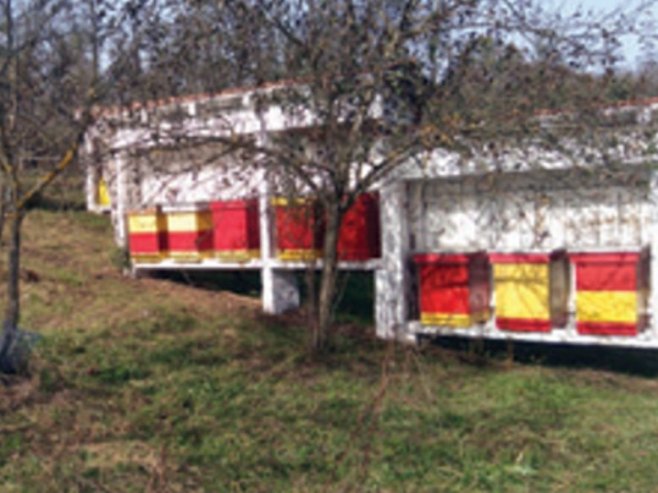 Romanijski med zaštićen oznakom porijekla