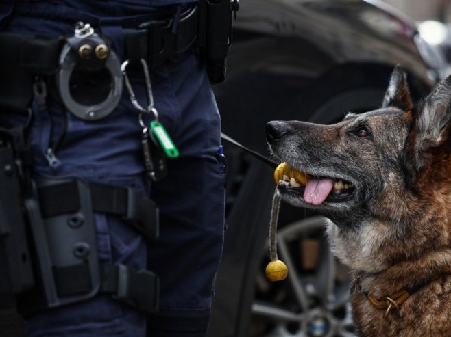 U zatvoru u Lepoglavi pas ugrizao pravosudnog policajca