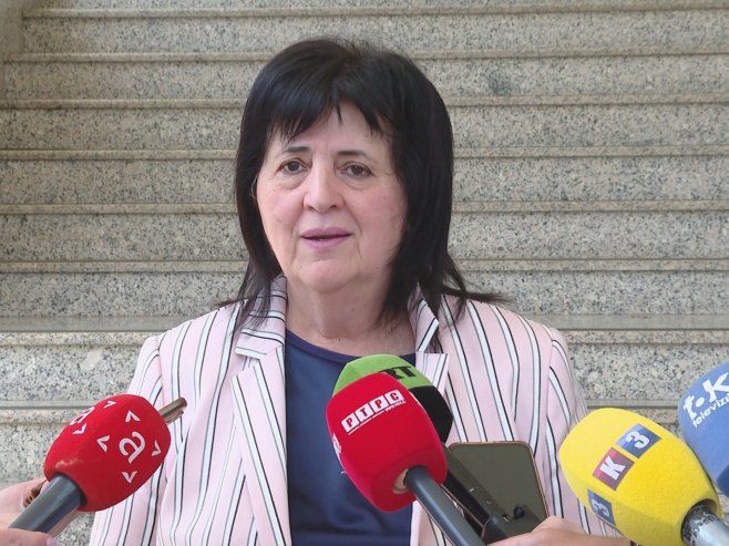 Golić: Što je više OHR-a, manje je dogovora domaćih lidera